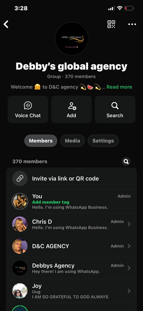 Debby's global agency WhatsApp group showing 370 active members.